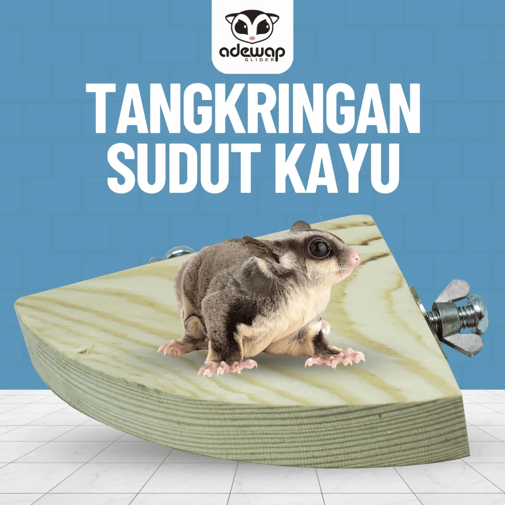 ADEWAP GLIDER Tangkringan Standing Sudut Kandang Sugar Glider - 1