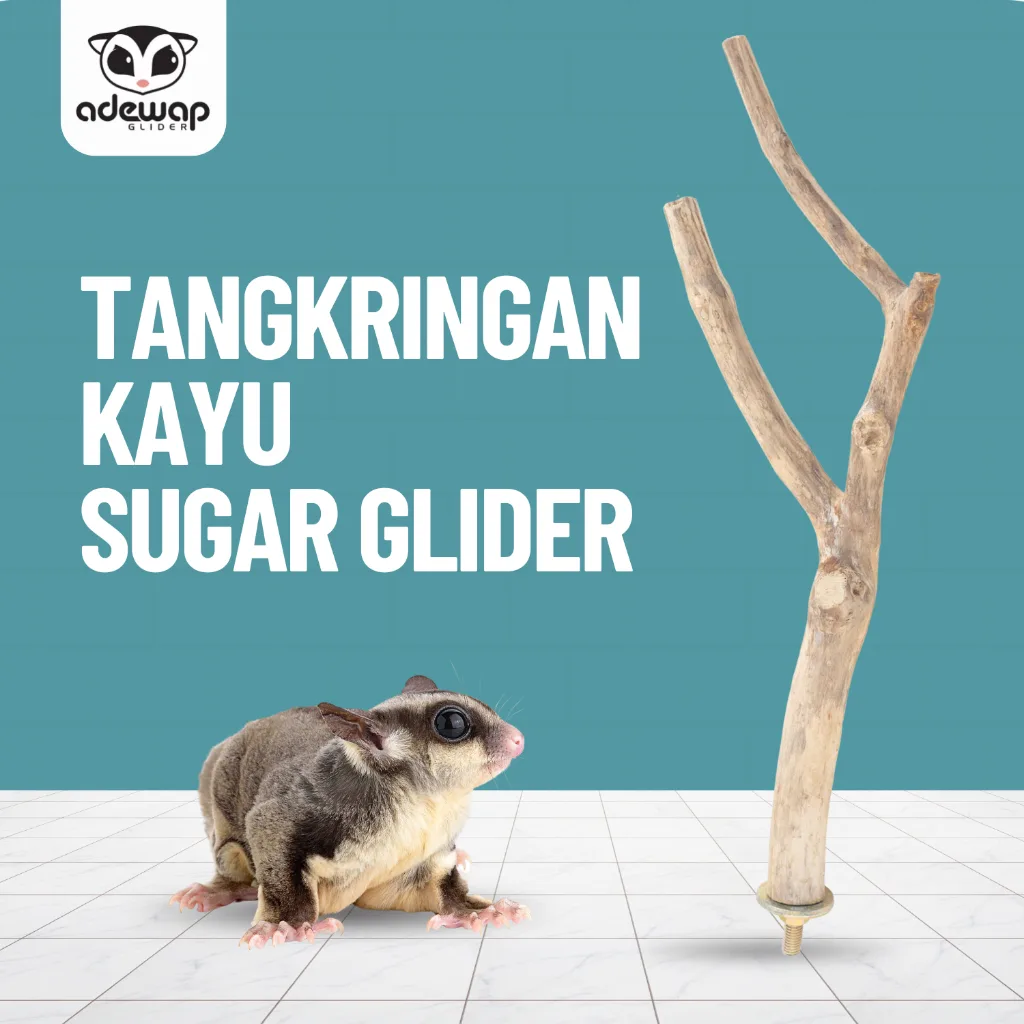 ADEWAP GLIDER Tangkringan Ranting Kayu Vertikal dan Horisontal Sugar Glider