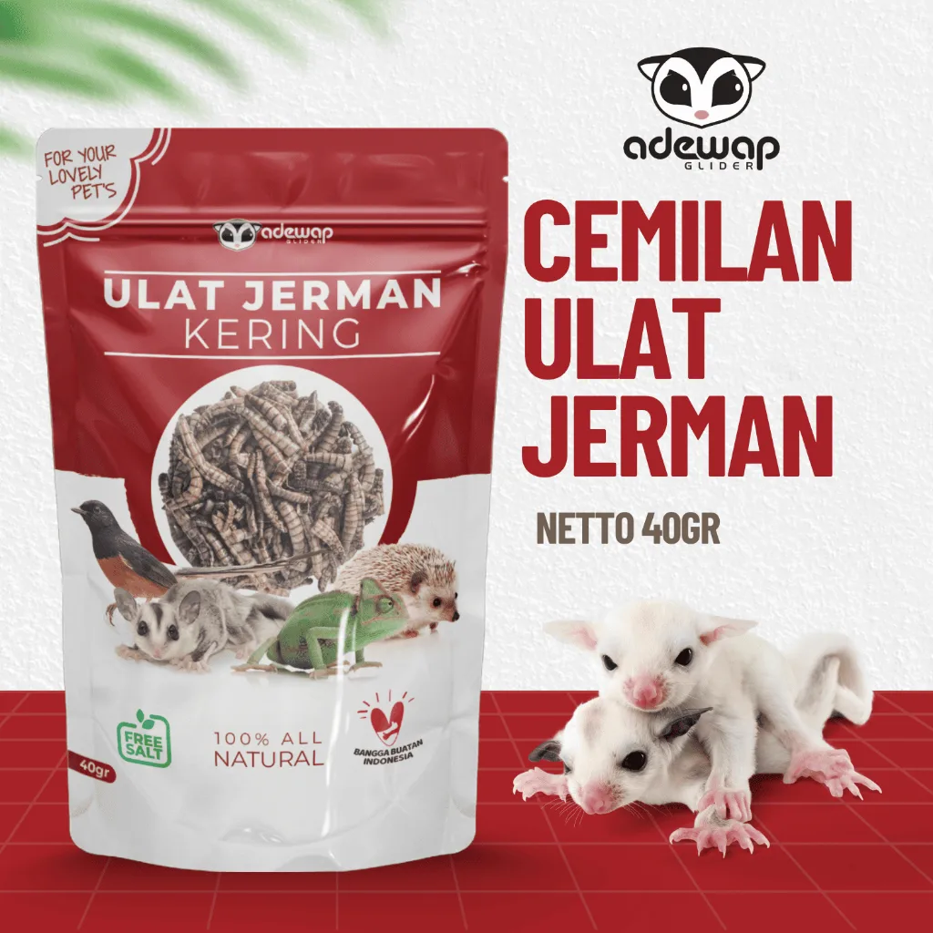 ADEWAP GLIDER Ulat Jerman Kering Dried Super Worm Cemilan Sugar Glider - 40gr - 1