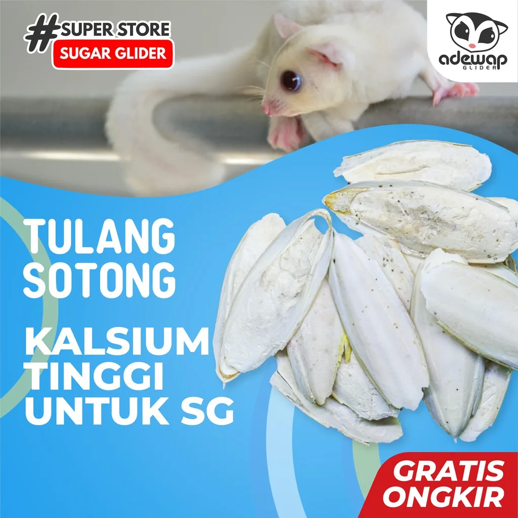 ADEWAP GLIDER Kalsium Tulang Sotong Kering Asinan Gigitan Sugar Glider - 1