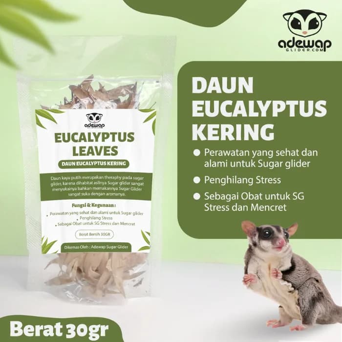 ADEWAP GLIDER Daun Eucalyptus Penghilang Stress Sugar Glider Daun Kering Penghilang Stress Hewan Peliharaan - 1