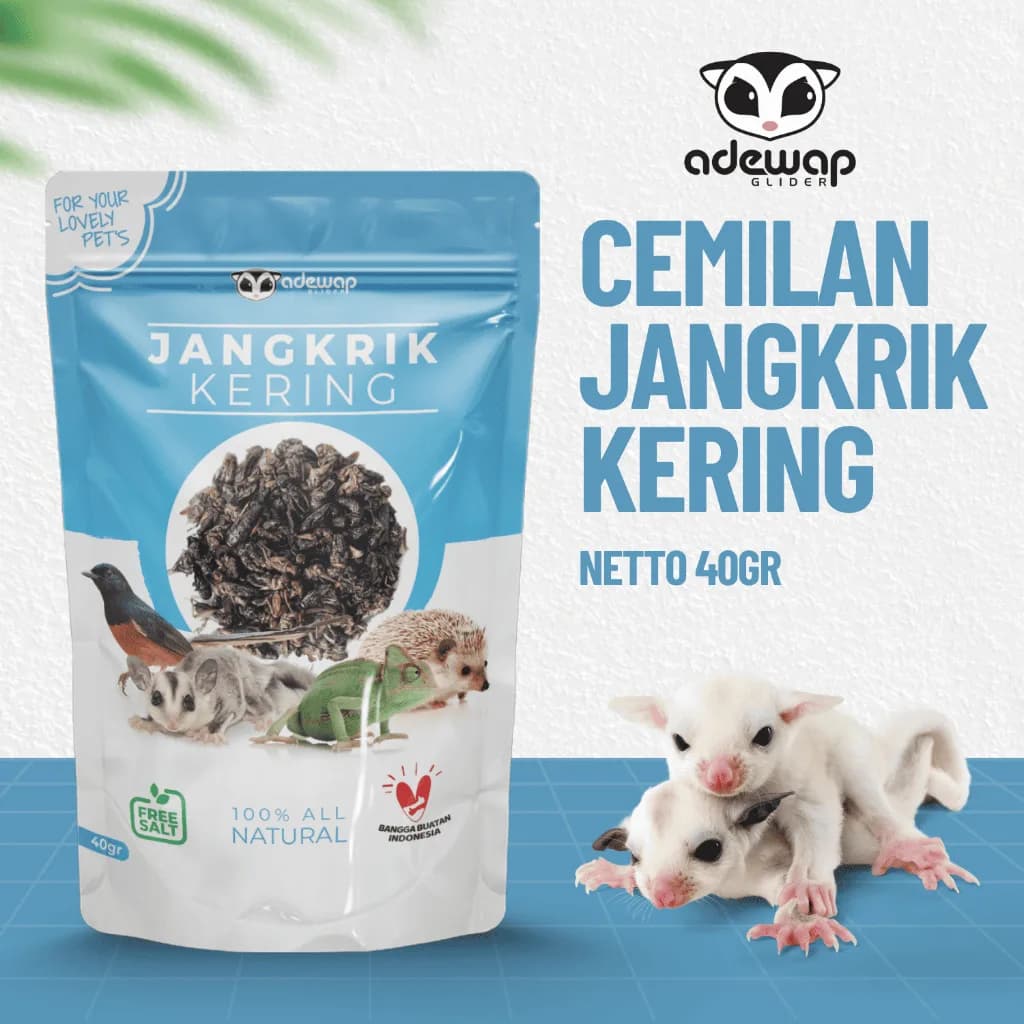 ADEWAP GLIDER Dried Cricket Jangkrik Kering Sugar Glider - 1