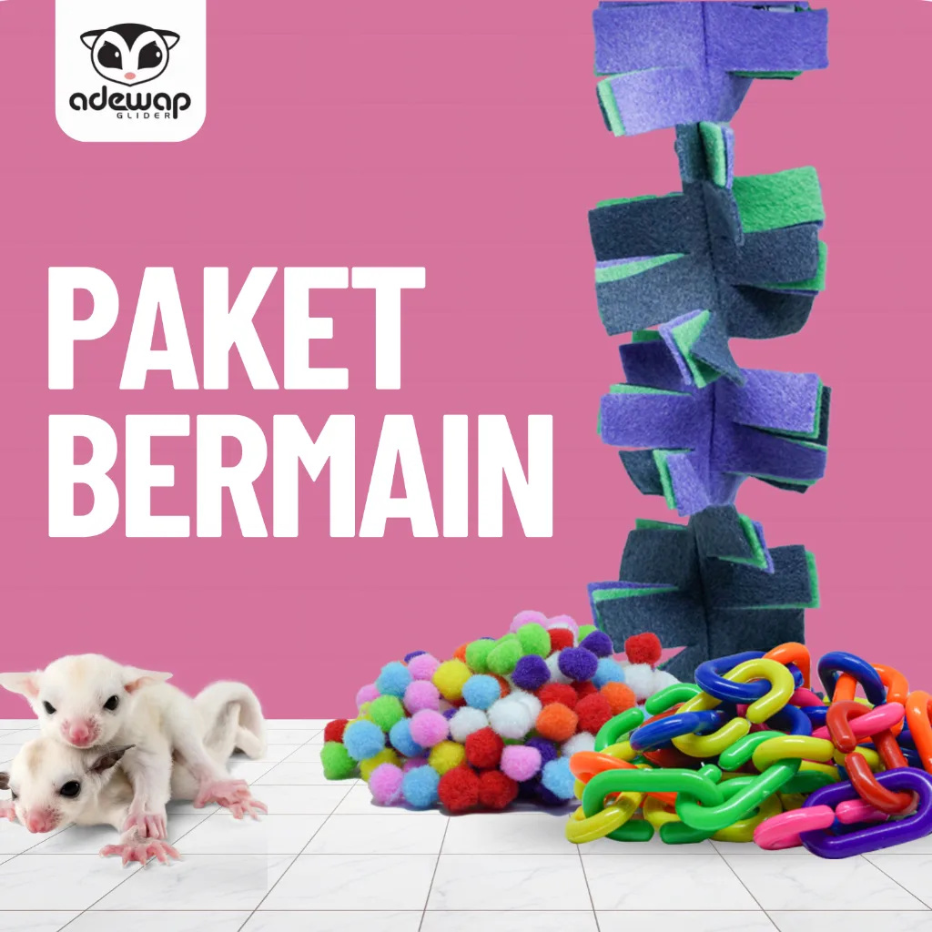 ADEWAP GLIDER Paket Bermain Aksesoris Sugar Glider - 1