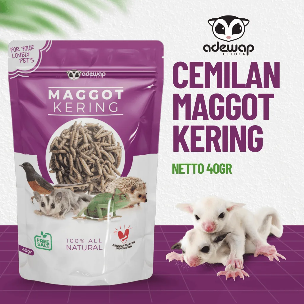 ADEWAP GLIDER Maggot Kering Camilan Serangga Sugar Glider - 1