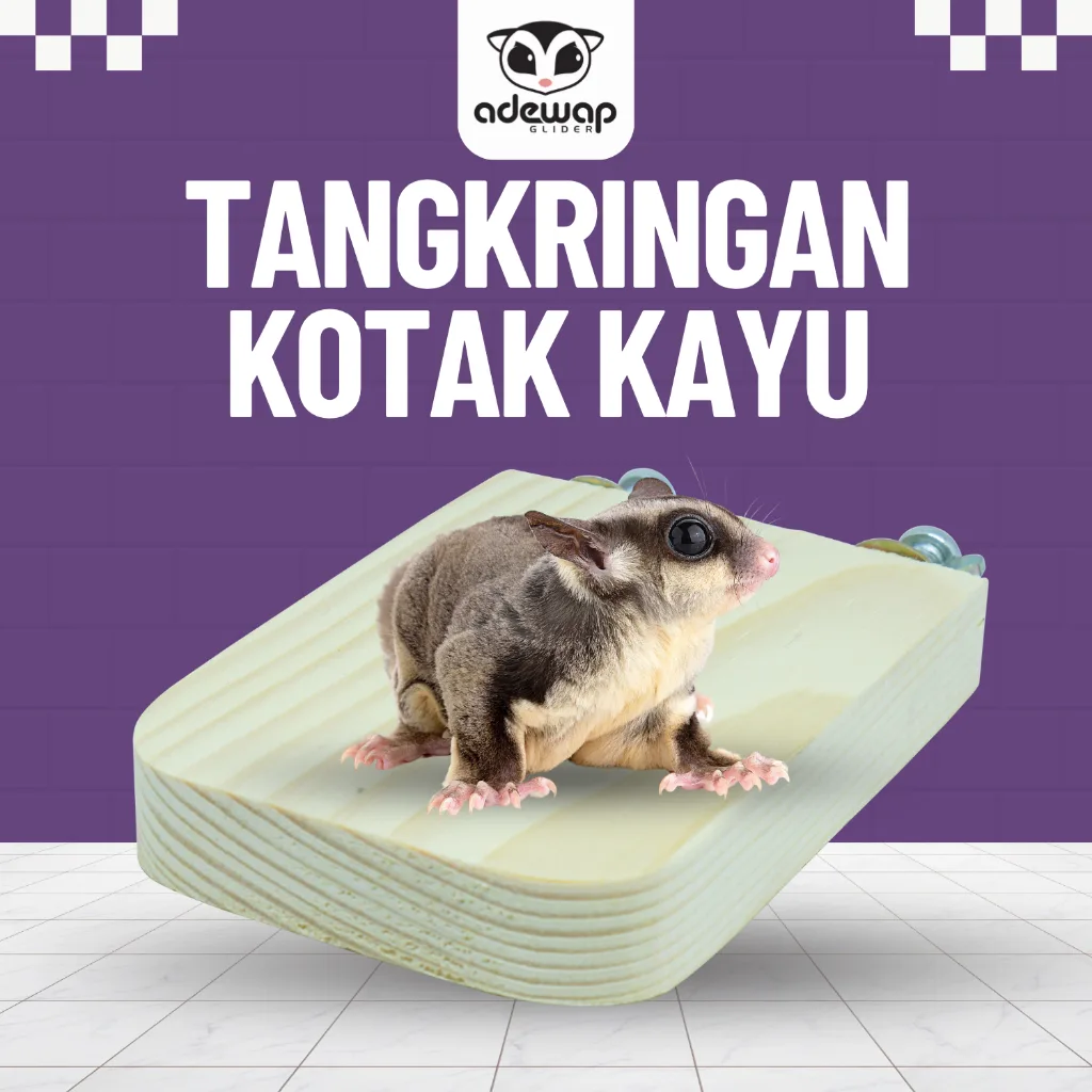 ADEWAP GLIDER Tangkringan Kandang Hewan Kotak Sugar Glider - 1