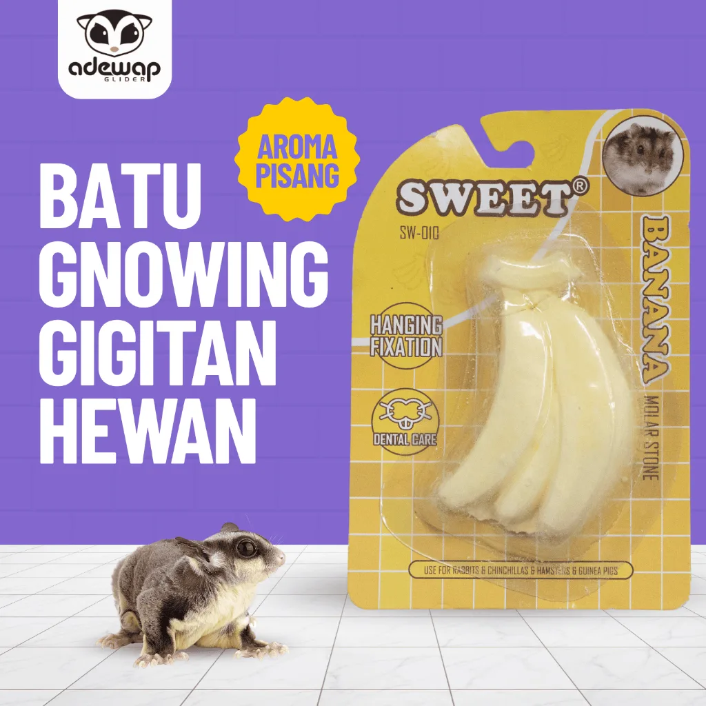 ADEWAP GLIDER Gnawing Stone Gigitan Buah Hewan Peliharaan - 1