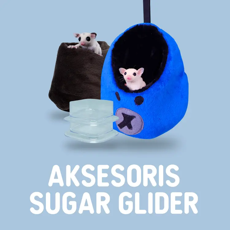 Aksesoris Sugar Glider