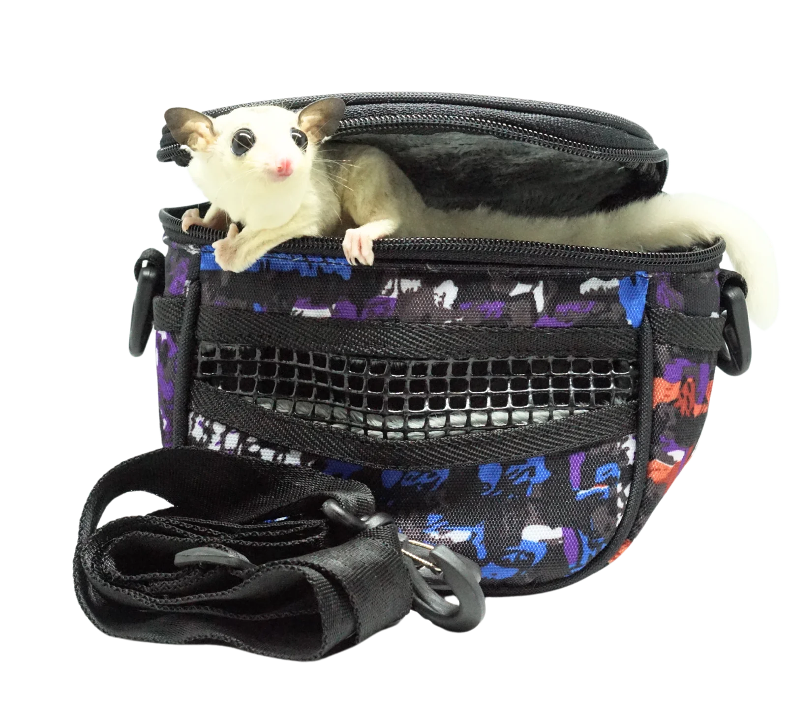 TOKO TERBAIK KHUSUS SUGAR GLIDER