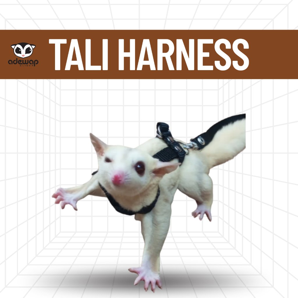 ADEWAP GLIDER Harness H Tali Penuntun Sugar Glider