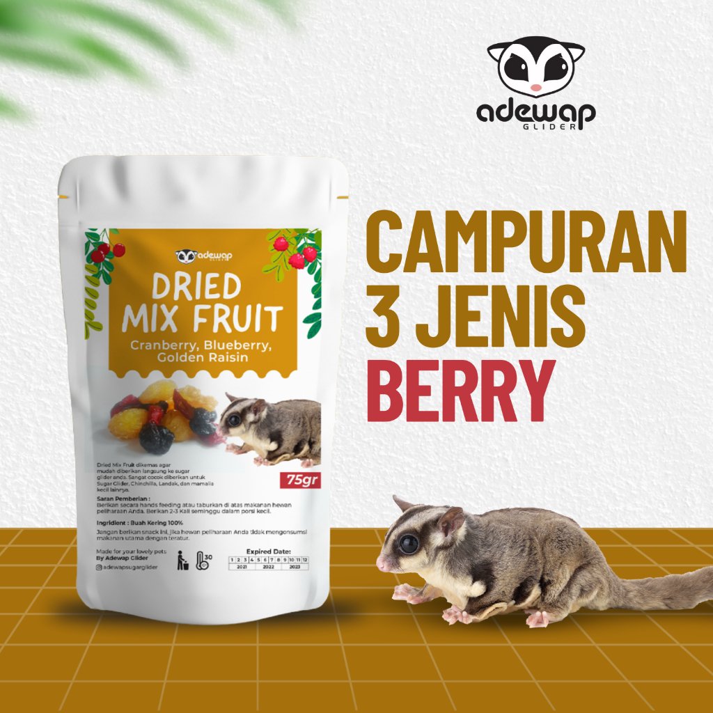 ADEWAP GLIDER Dried Mix Fruits Campuran 3 Buah Kering Cemilan Sugar Glider