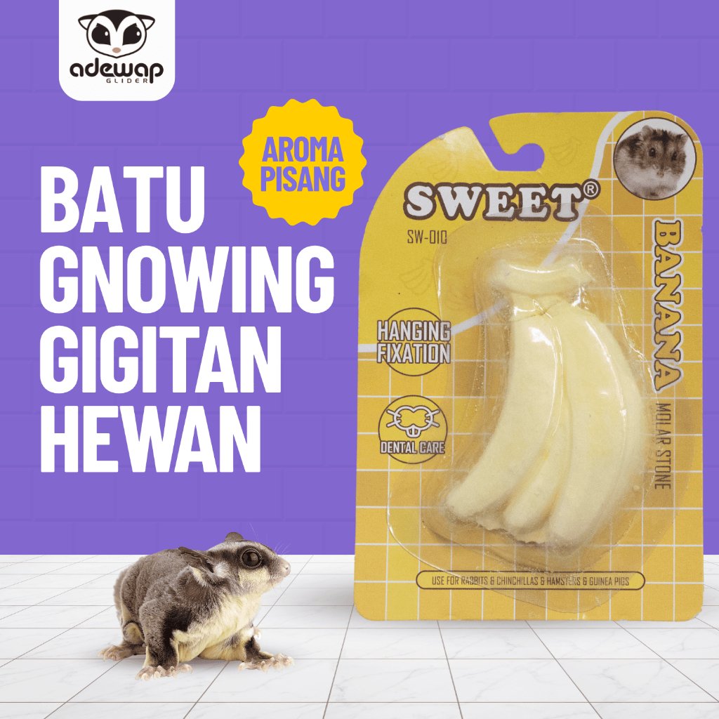 ADEWAP GLIDER Gnawing Stone Gigitan Buah Hewan Peliharaan